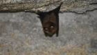 اتحاد خوستا 2 وكوفيد- 19.. تحذير من "السيناريو المرعب"