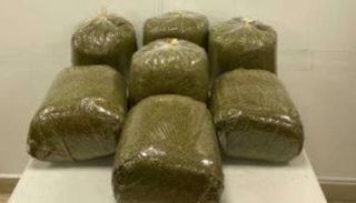 المواد المخدرة المضبوطة