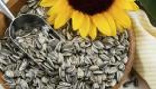 فوائد حب دوار الشمس.. للصحة وللرجيم