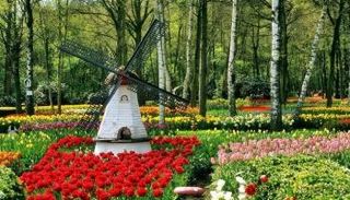 أجمل الحدائق في بروكسل…7 مساحات تخطف الأنظار