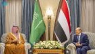 وزير الدفاع السعودي والعليمي يبحثان تطورات الأوضاع باليمن