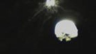 فلكي يكشف لـ"العين الإخبارية" قيمة الصور الأولى لاصطدام"دارت"