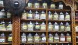 "الزيتون الإسرائيلي" في مصر.. "العين الإخبارية" تكشف تاريخه وفوائده