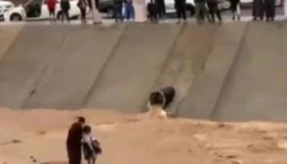 إنقاذ طفل من سيل المدينة المنورة