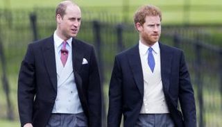 الأمير هاري والأمير ويليام