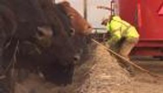 استثمارات التغير المناخي في أمريكا.. المزارعون يبحثون عن نصيبهم