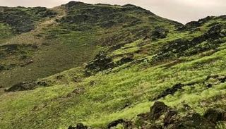 جبال مكة المكرمة تكتسي باللون الأخضر