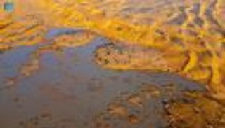 أمطار السعودية.. صحارٍ خضراء وجريان تاريخي لوادي الرمة (صور)