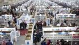 سنة أولى معرض.. كتاب شباب يتحدثون لـ"العين الإخبارية" عن كواليس مشاركتهم بـ"القاهرة للكتاب"