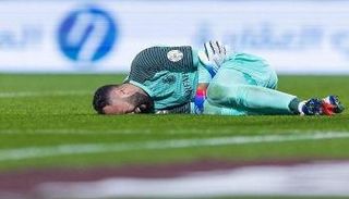 ديفيد أوسبينا 