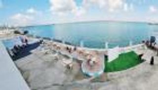 جبهة إعلامية جنوبية.. صوت يمني واحد ضد التطرف والكراهية