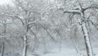 تونس ترتدي حلّة بيضاء.. الثلوج تجذب السياح وتقطع الطرق (صور)