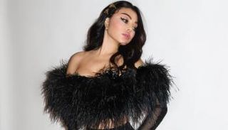 المغنية اللبنانية هيفاء وهبي