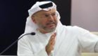 قرقاش: وقوف الإمارات مع مصر موقف مبدئي راسخ