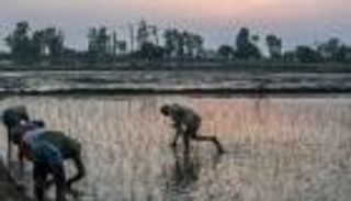 دراسة تكشف: تغير المناخ يربك خطط المستقبل