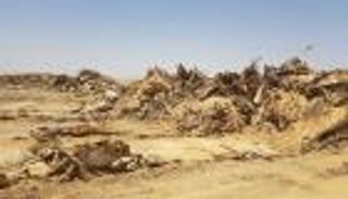 "ما خفي أعظم".. ما سر ظهور "مقبرة حمير الفيوم" بمصر؟ (خاص)