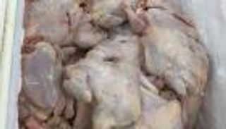 بعد ظهور نوعيات فاسدة في مصر.. "العين الإخبارية" توضح مواصفات اللحوم والدواجن الجيدة