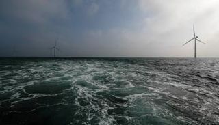 مزرعة الرياح البحرية Eneco Luchterduinen بالقرب من أمستردام - رويترز