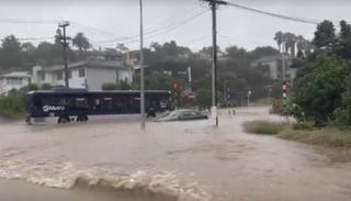 سيول تجتاح أوكلاند