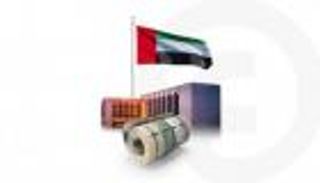 الودائع الادخارية في الإمارات تقفز إلى 246.61 مليار درهم