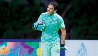 فلاديمير ستويكوفيتش، حارس مرمى الفيحاء