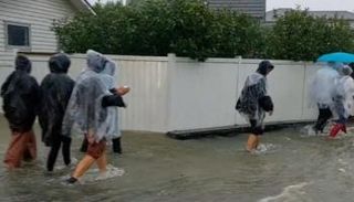 الأمطار في نيوزيلندا 