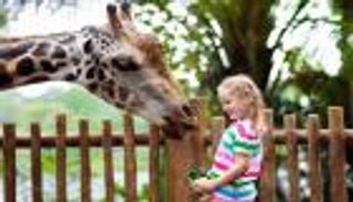 6 من أفضل الأماكن السیاحیة في ھولندا للأطفال