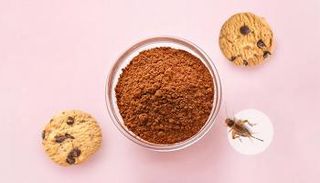 القرار الأوروبي يسمح باستخدام مسحوق الكريكيت بالصناعات الغذائية