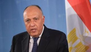 وزير الخارجية المصري سامح شكري