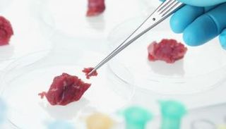 استزراع اللحوم يثير جدلًا في مصر - أرشيفية