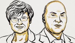 المجرية كاتالين كاريكو والأمريكي درو وايزمان