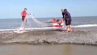 الصيد الجائر بالشباك يهدد البيئة البحرية 