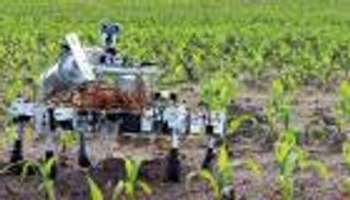 الابتكار الزراعي الأخضر.. هكذا يصبح للغذاء سيف وللمناخ درع