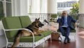 كلاب بايدن "غير مرغوب" بها في البيت الأبيض.. كوماندر يلحق بـ"ميجور"