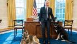 "كارت أحمر" لكلب بايدن من البيت الأبيض