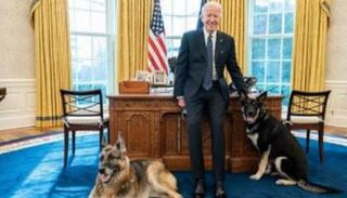 بايدن مع كلبيه 