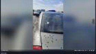 "عاصفة البق" في ليون الفرنسية.. ما حقيقة الفيديو المرعب؟