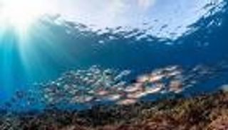 تقرير عالمي: استغلال المحيطات يمكن أن يحقق 35% من خفض الانبعاثات 