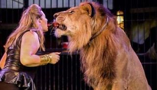 مدربة الأسود فاتن الحلو 