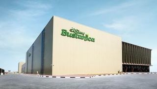 توظيف الذكاء الاصطناعي لمواجهة تداعيات المناخ