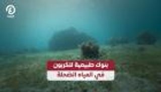 بنوك طبيعية للكربون في المياه الضحلة