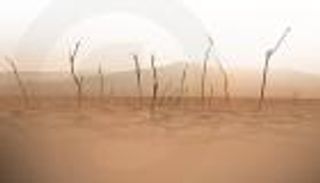 "الفاو" في أول تقرير عن خسائر الزراعة من الكوارث: الجوع يهدد العالم