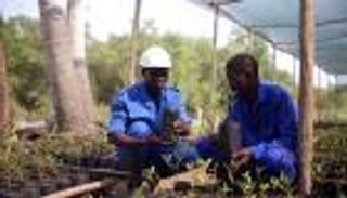 دبلوماسية المناخ.. المجتمع المدني الصوت القادم!