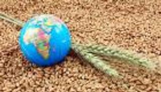 يوم الأغذية العالمي: 30% من سكان العالم يفتقرون للأمن الغذائي