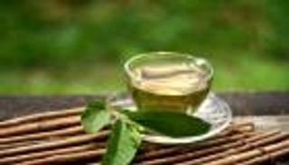 منها زيادة مناعة الجسم.. إليك أهم فوائد واضرار ورق الجوافة