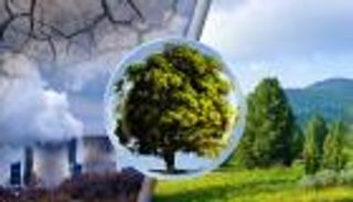 مفاجأة.. تغير المناخ يكلف العالم 16 مليون دولار في الساعة