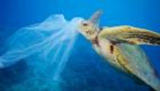 تجربة أفريقية فريدة.. غانا بوصلة مكافحة تلوث البلاستيك