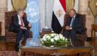 شكري: تصفية القضية الفلسطينية من خلال تهجير سكان غزة غير وارد