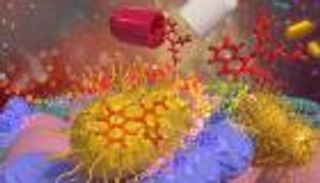 محاولة جديدة.. علاج محتمل لضغط الدم ببكتريا الأمعاء المهندسة وراثيا