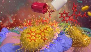 البكتيريا المهندسة يمكن أن تخفض ضغط الدم